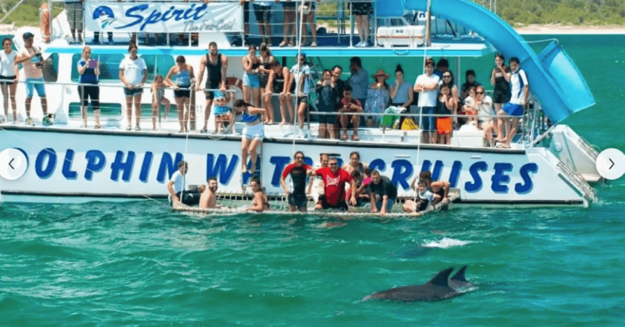 Port Stephens Dolphin Discovery Cruise - მთავარი სურათი