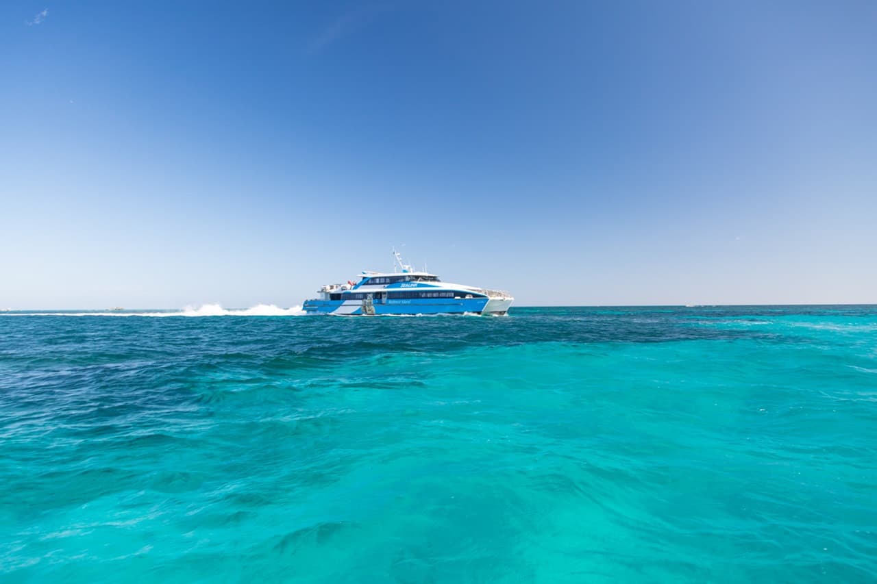 Round Trip SeaLink Ferry Transfer to Rottnest Island with Bike Hire - სურათი 12