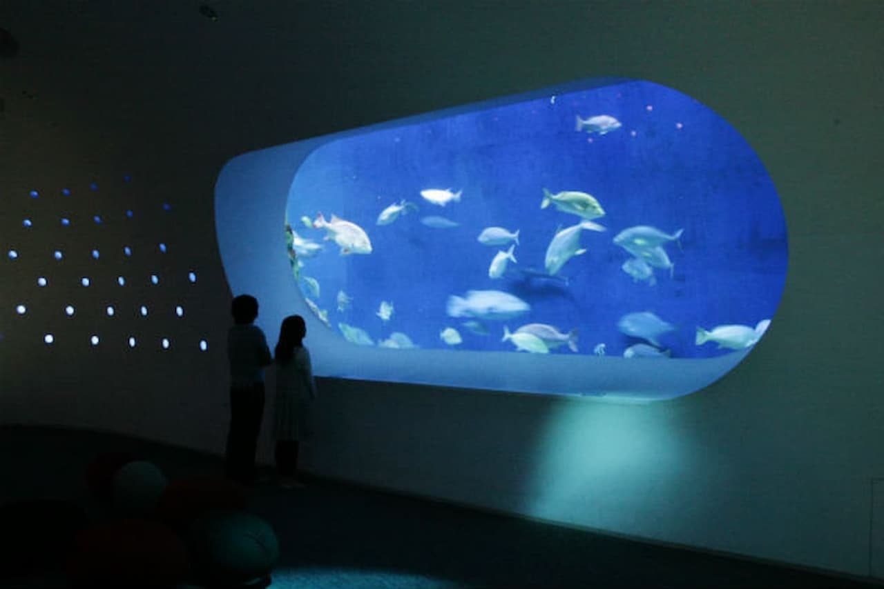 Oita Marine Palace Aquarium Umitamago Ticket - სურათი 3