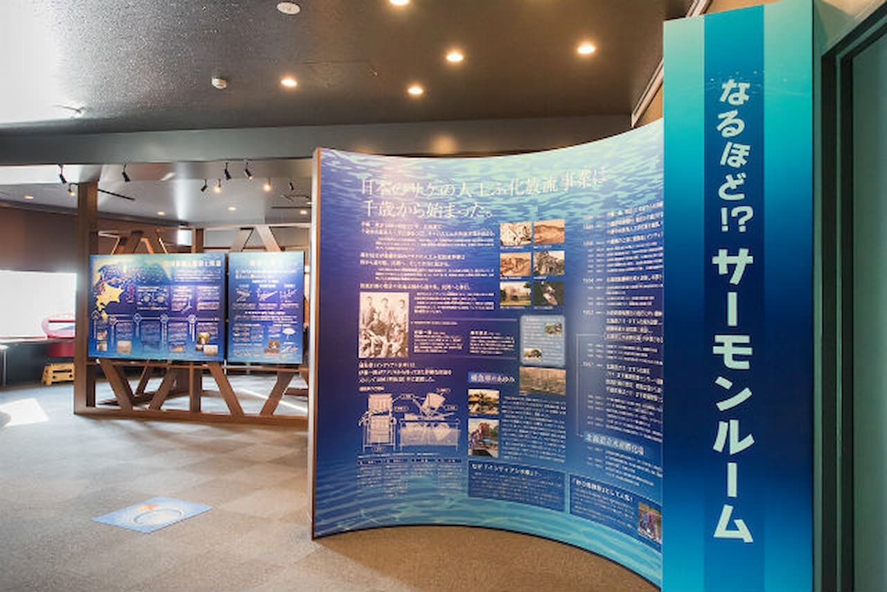 Salmon Hometown Chitose Aquarium Ticket - სურათი 7