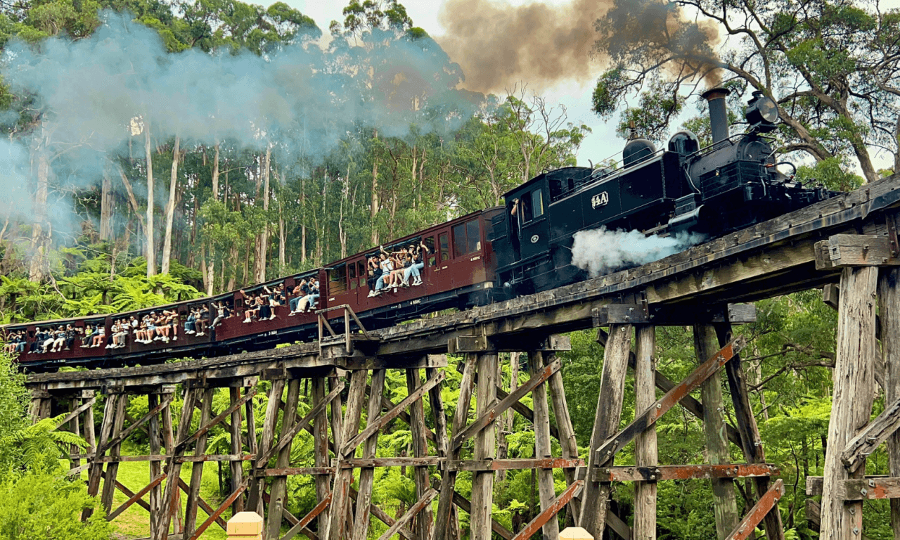 Puffing Billy Steam Train Half-Day Tour - მთავარი სურათი