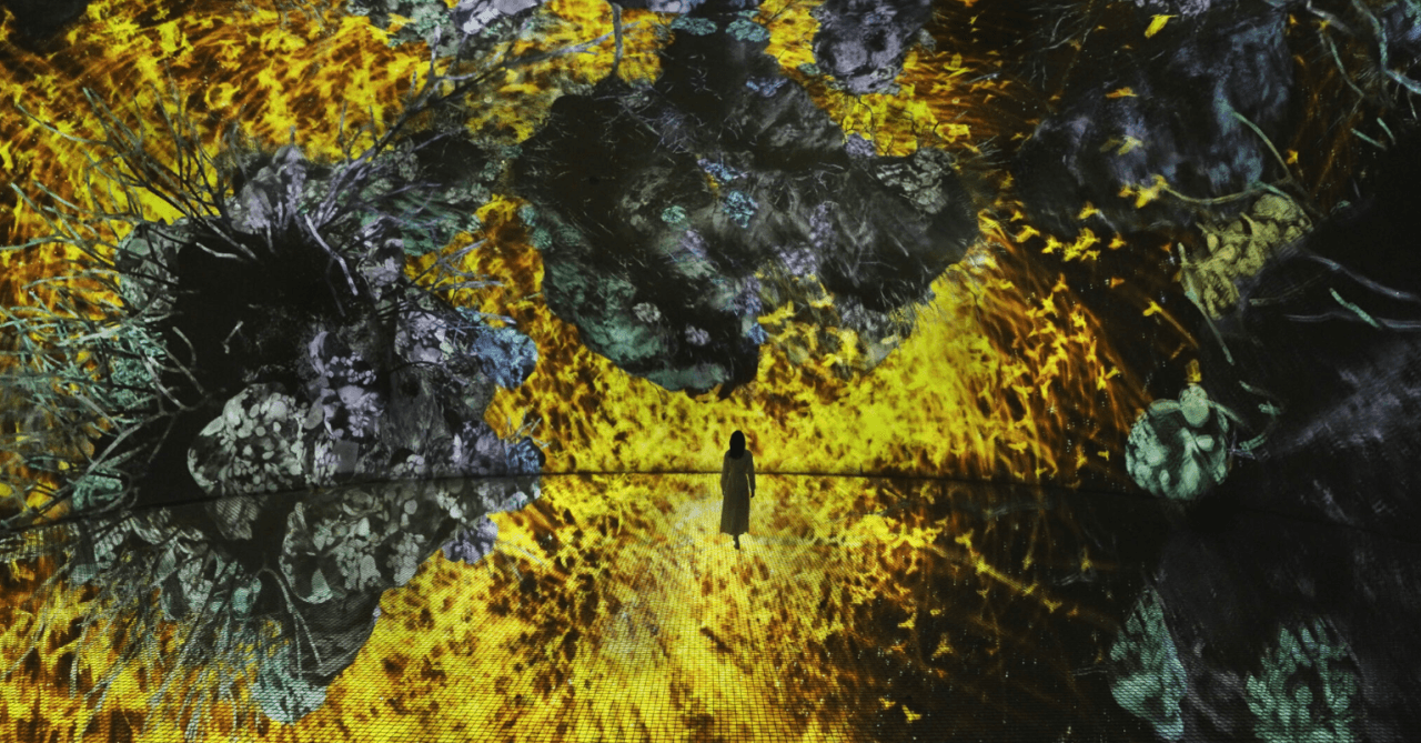 teamLab Phenomena Abu Dhabi Ticket - სურათი 8