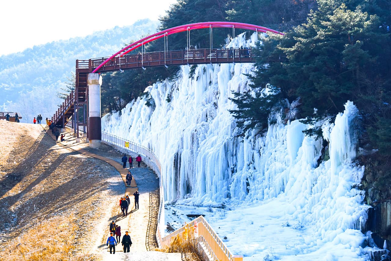 Gyeongju Kookmin Healing Park, Daegu Seomun Market, Songhae Park Ice Wall Full-Day Tour from Busan - სურათი 2