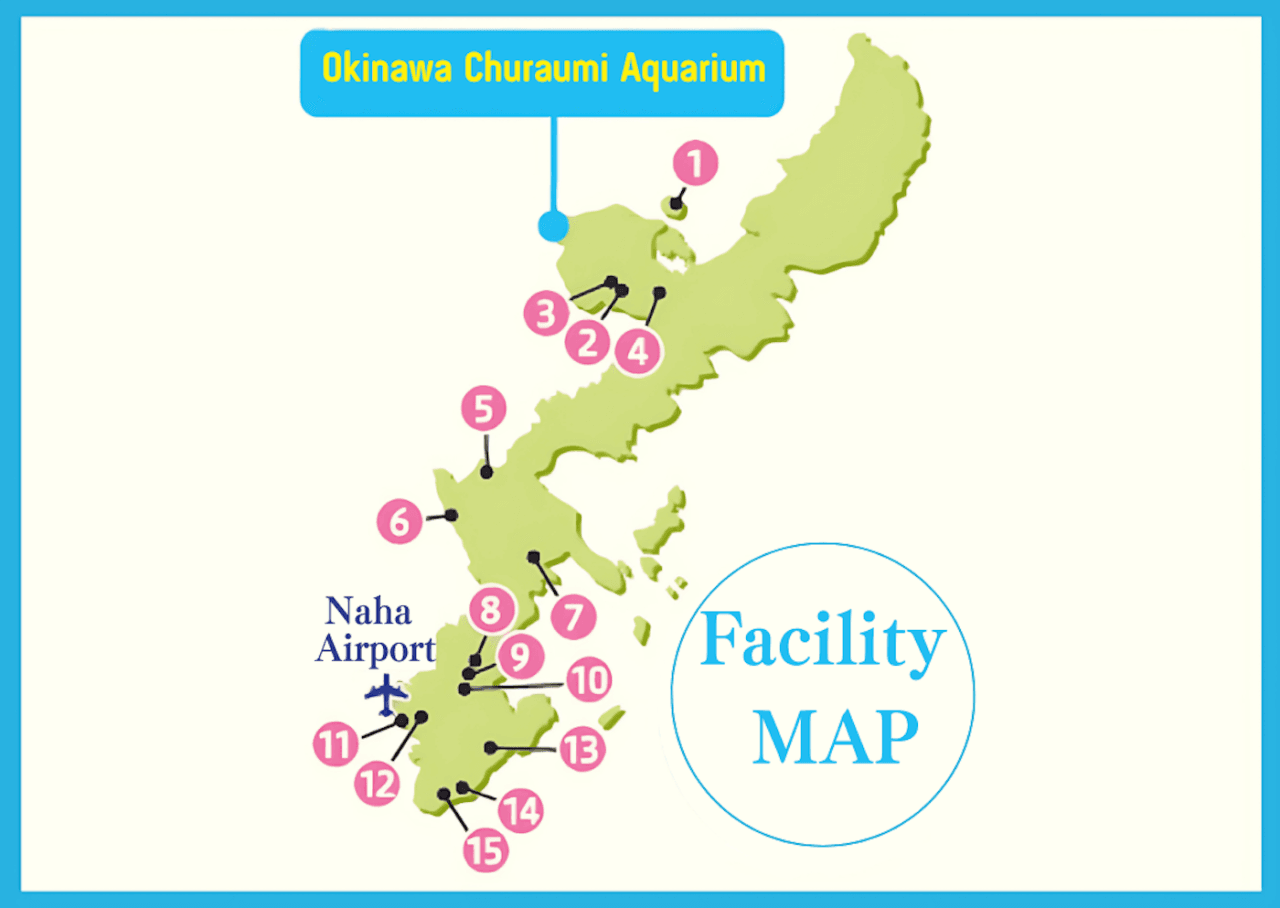 Okinawa Churaumi TokuToku Pass - სურათი 17