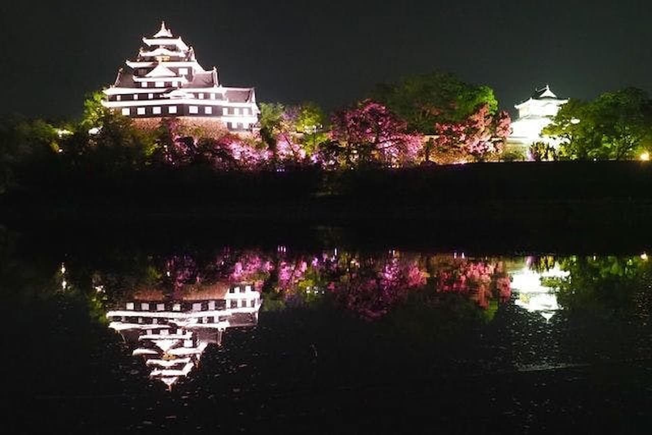 Okayama Castle Ticket - სურათი 6