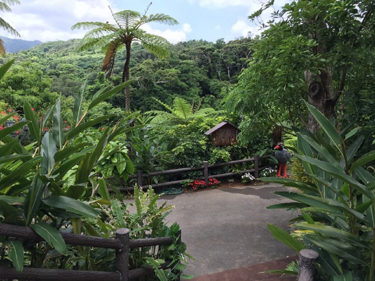 Okinawa Dino Park Yanbaru Subtropical Forest Ticket - სურათი 9