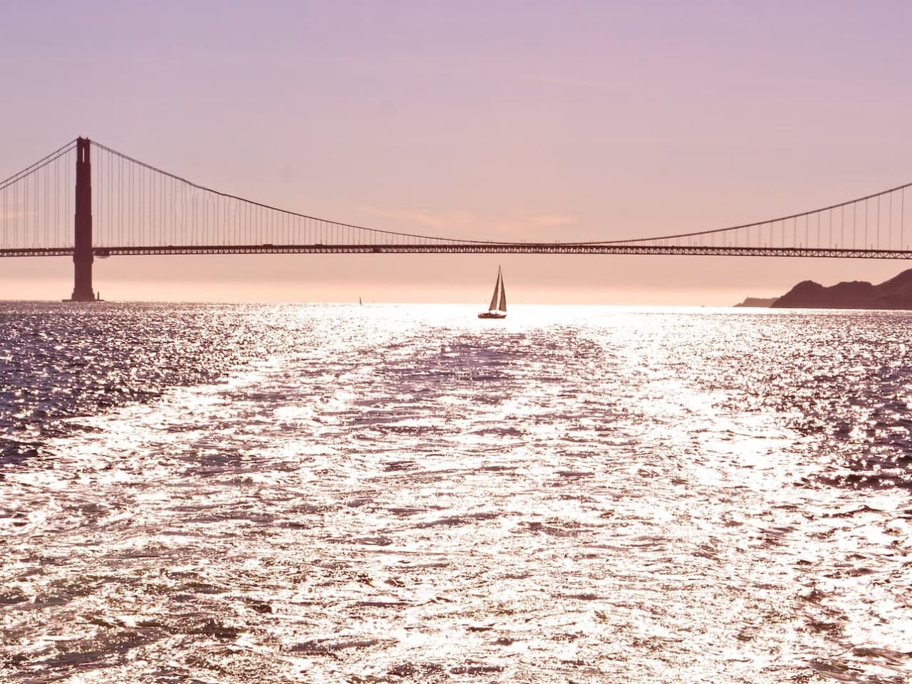 San Francisco Bay 1 Hour Golden Gate Sightseeing Boat Cruise by Red and White Fleet - სურათი 14