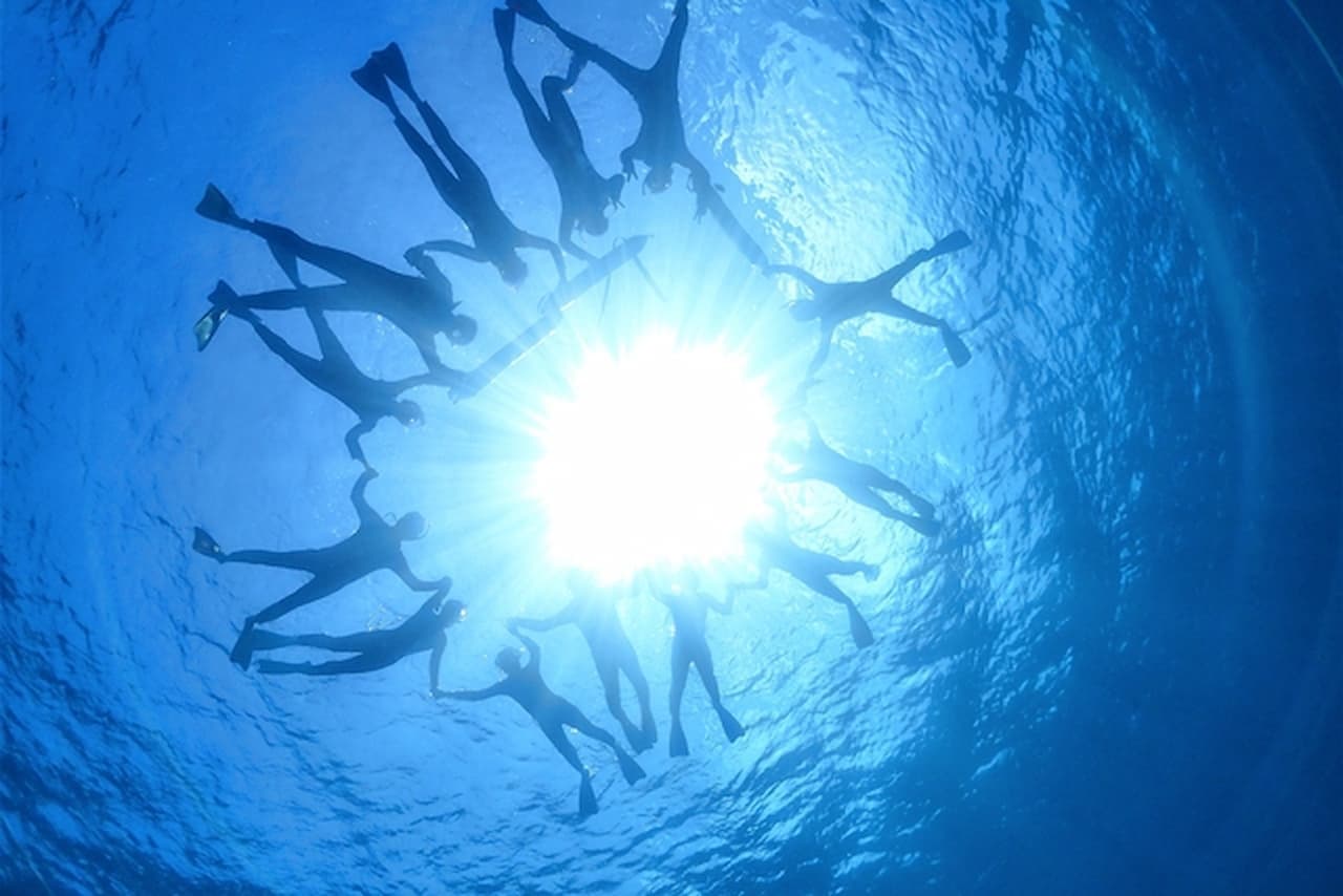Half-Day Morning Snorkeling Tour with Phantom Island Visit - სურათი 8