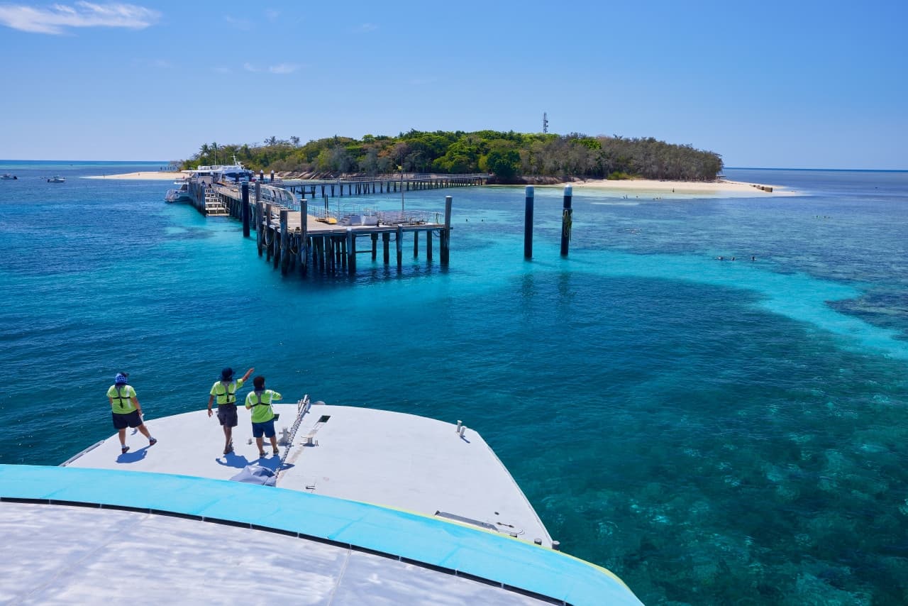 Green Island Great Barrier Reef Half Day Tour from Cairns - სურათი 9