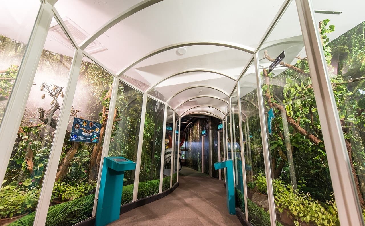Entopia by Penang Butterfly Farm Ticket - სურათი 19