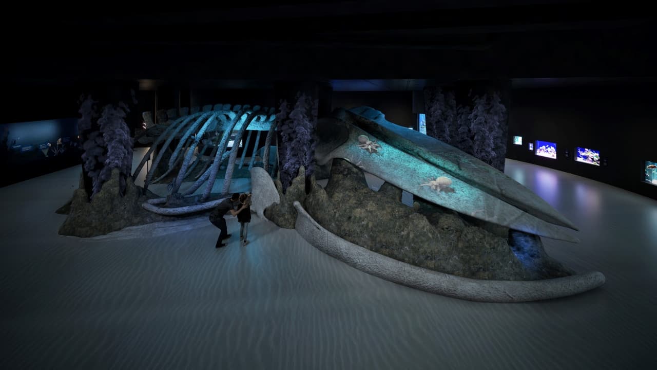 Singapore Oceanarium Insider Experience - სურათი 6