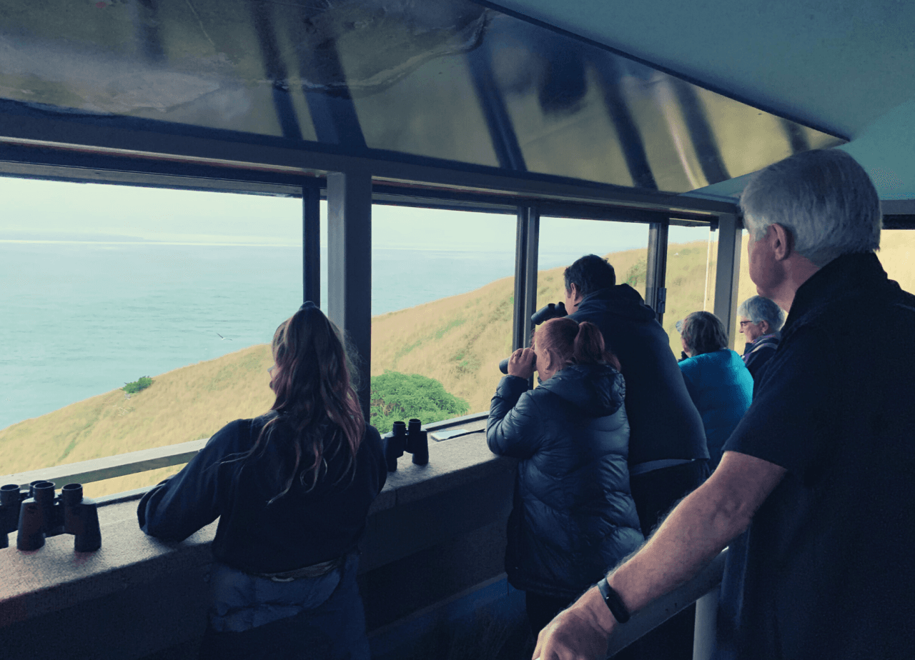 Albatross Classic Guided Tour - სურათი 5