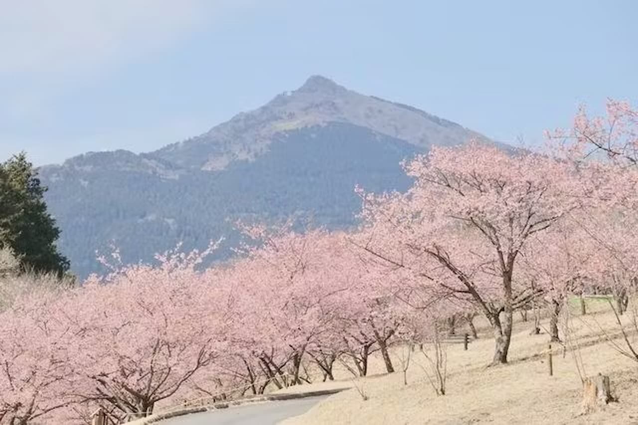 Ibaraki Flower Park Ticket - სურათი 2