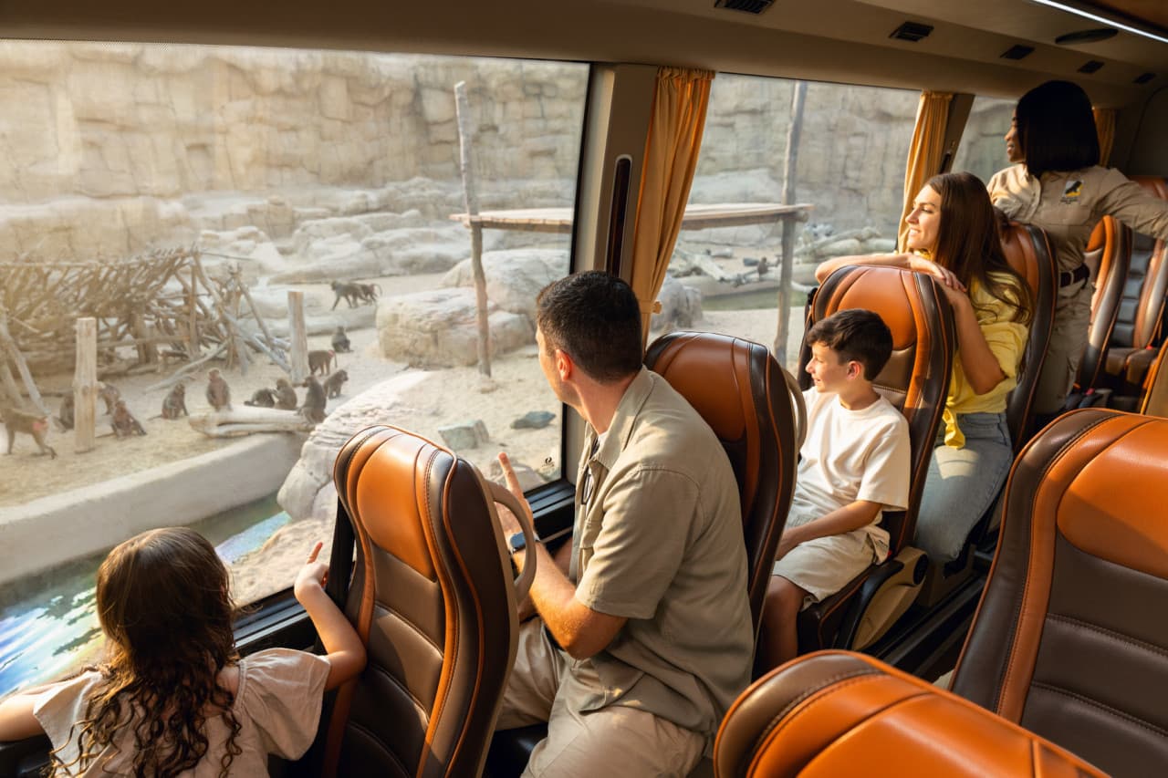 Dubai Safari Park Ticket - სურათი 7