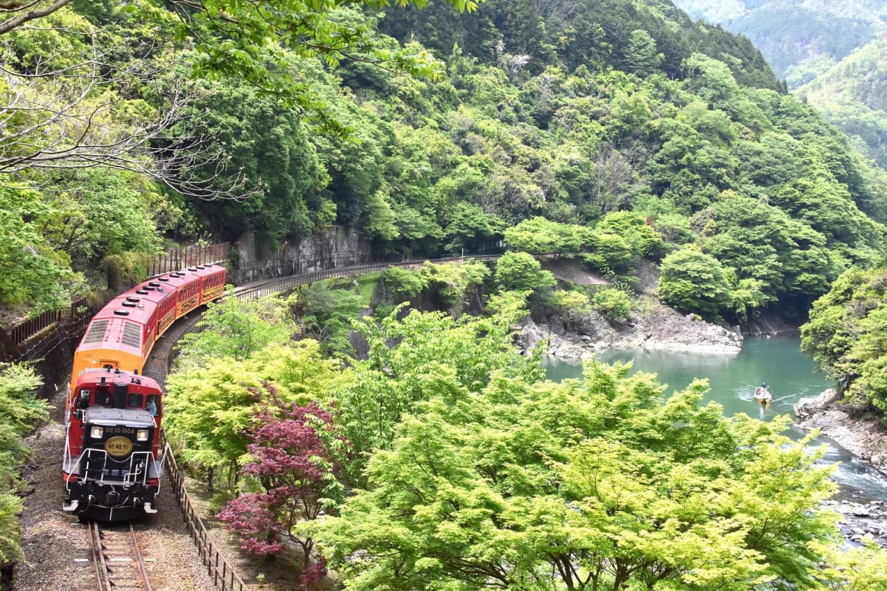 Sagano Romantic Train - სურათი 6