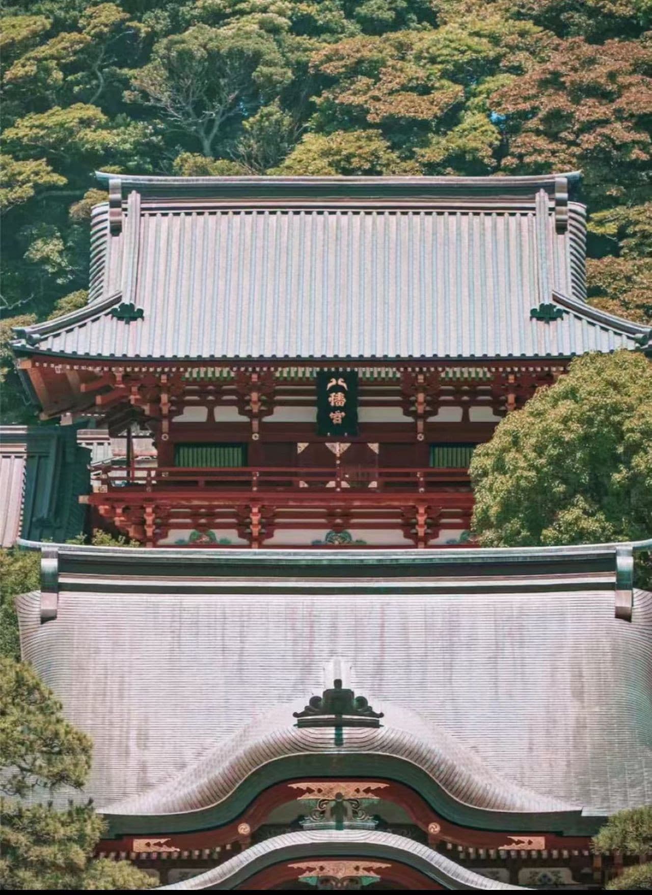 Kotoku-in Temple and Enoshima Day Tour from Tokyo - სურათი 3