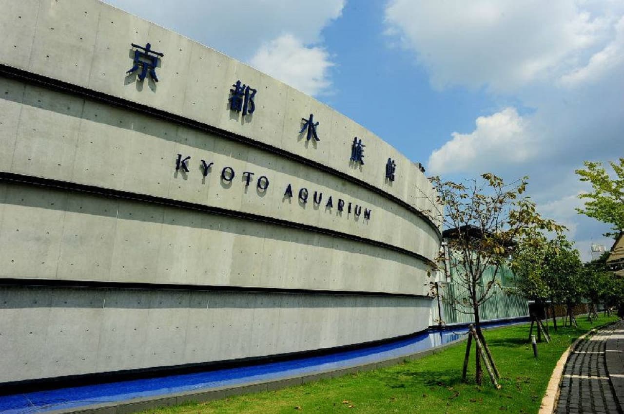 Kyoto Aquarium Ticket - სურათი 15