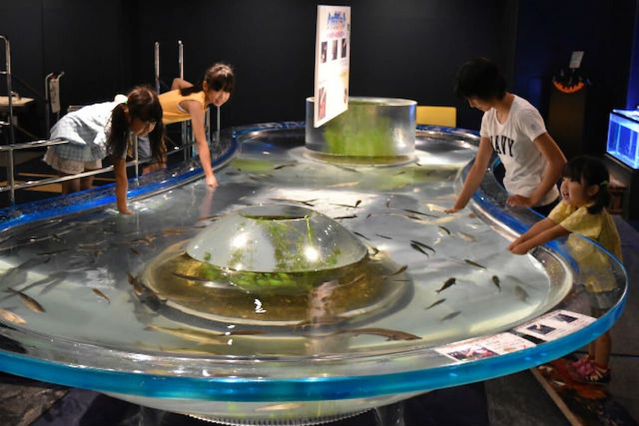 Salmon Hometown Chitose Aquarium Ticket - სურათი 2