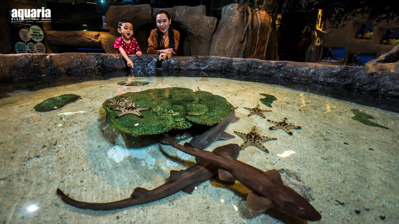 Aquaria KLCC Ticket - სურათი 8
