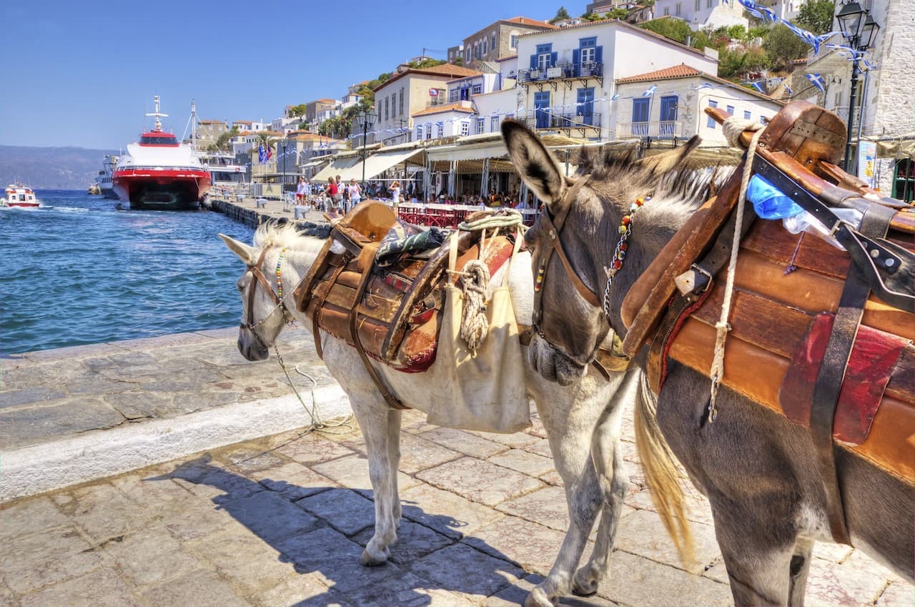 Poros, Hydra, and Aegina Islands Cruise and Full-Day Tour - სურათი 9
