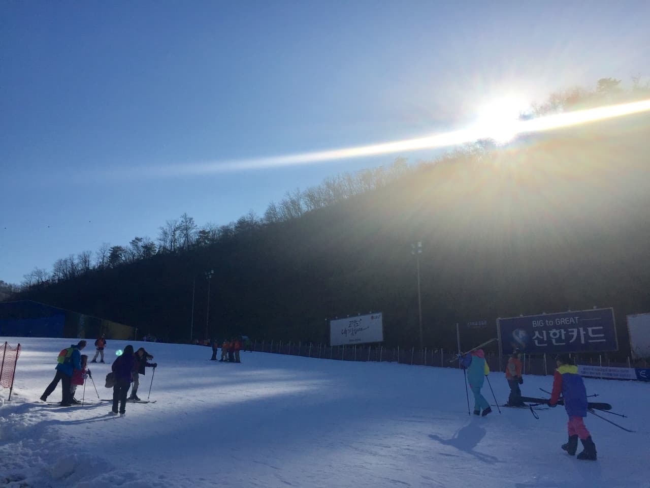 Elysian Gangchon Ski Resort and Nami Island Full-Day Tour from Seoul - სურათი 11