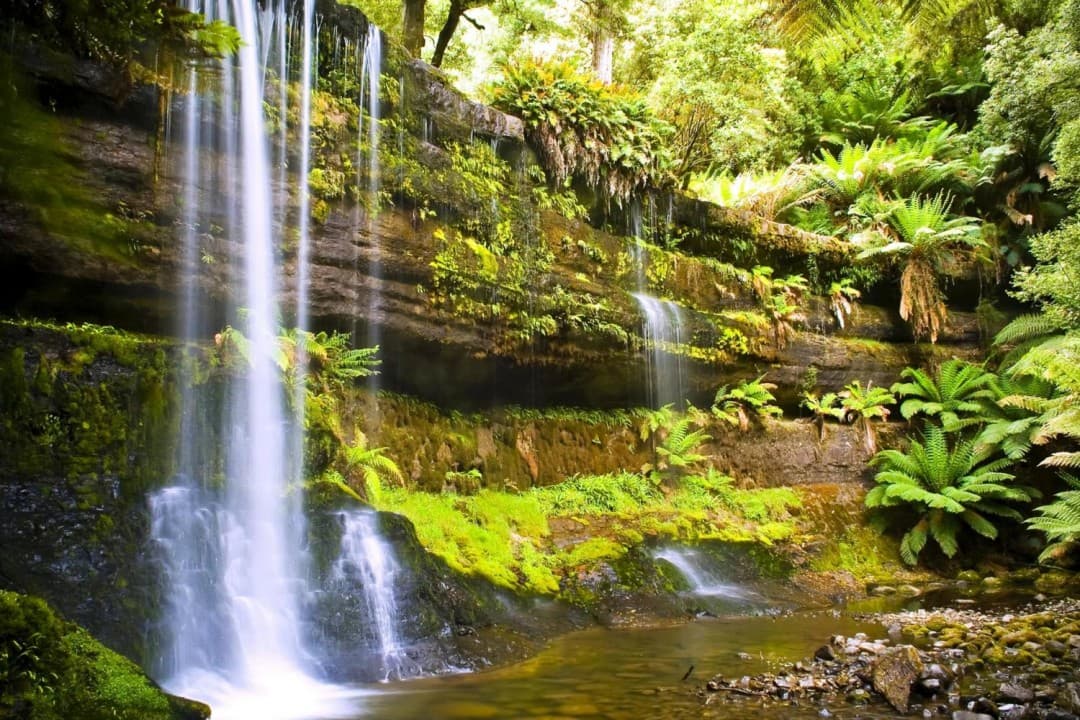 Russell Falls Tour from Hobart - სურათი 2