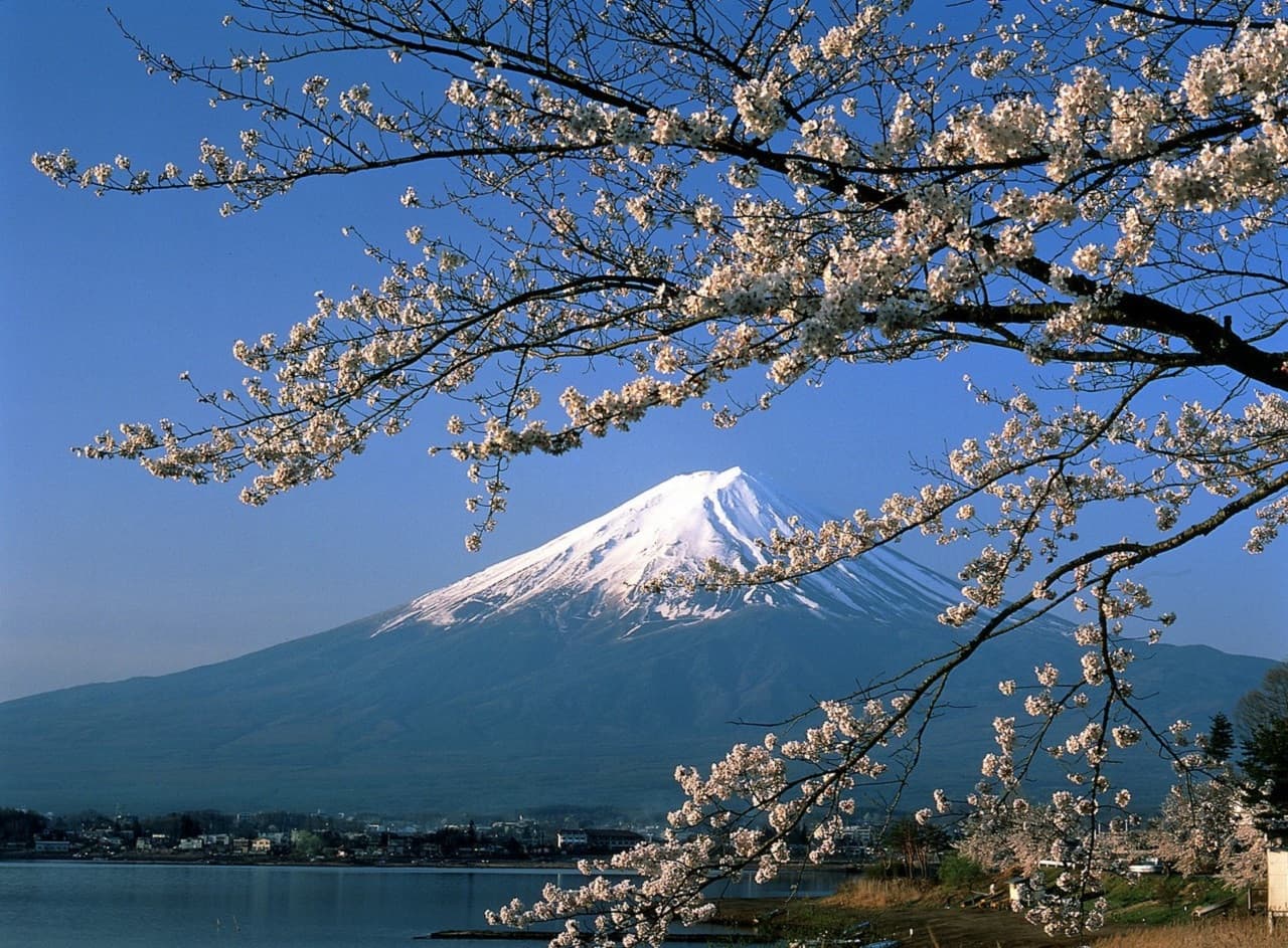 Mount Fuji and Hakone Tour - სურათი 8