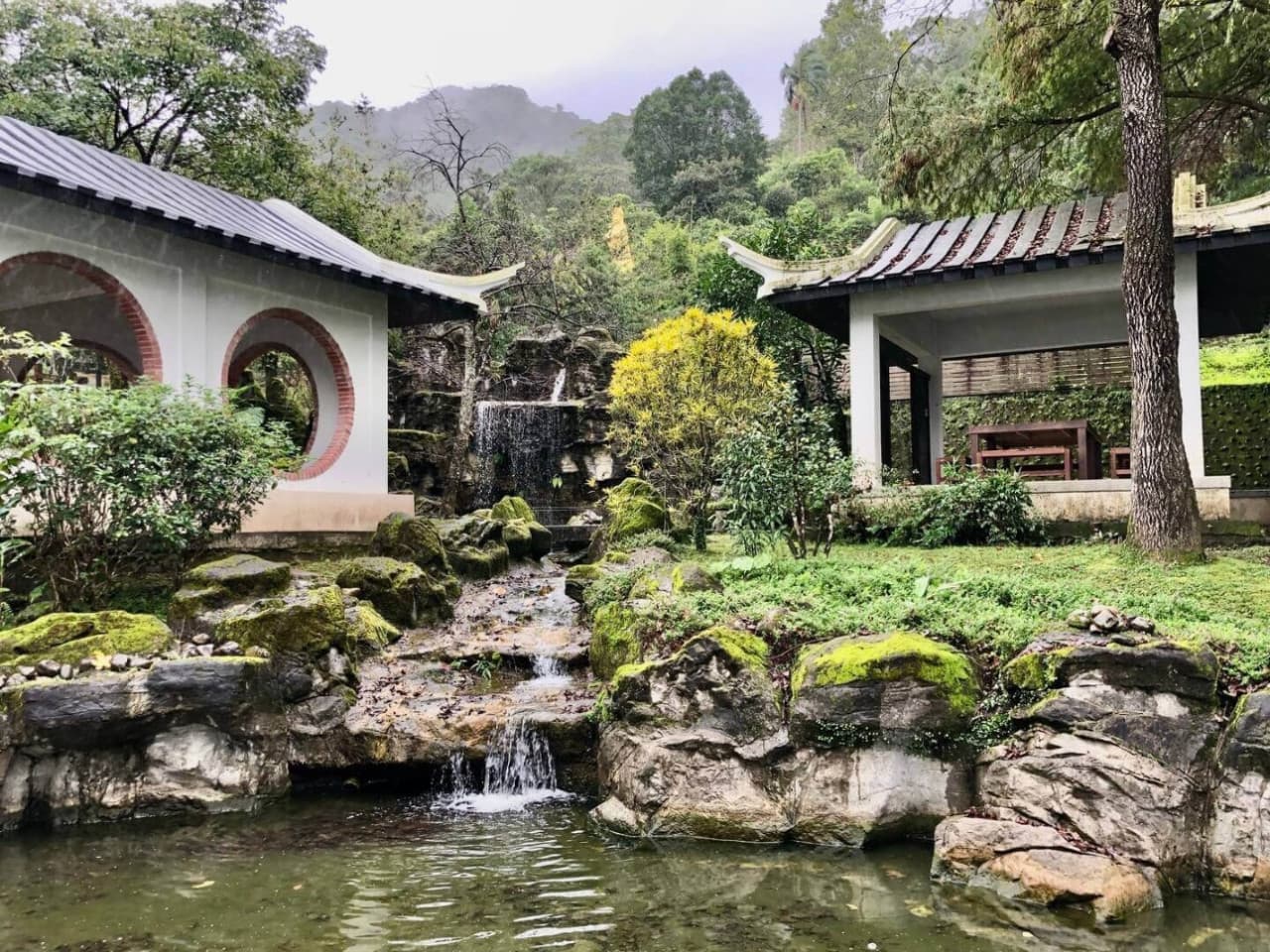 Pinglin Tea Culture and Maokong Full-Day Tour from Taipei - სურათი 4