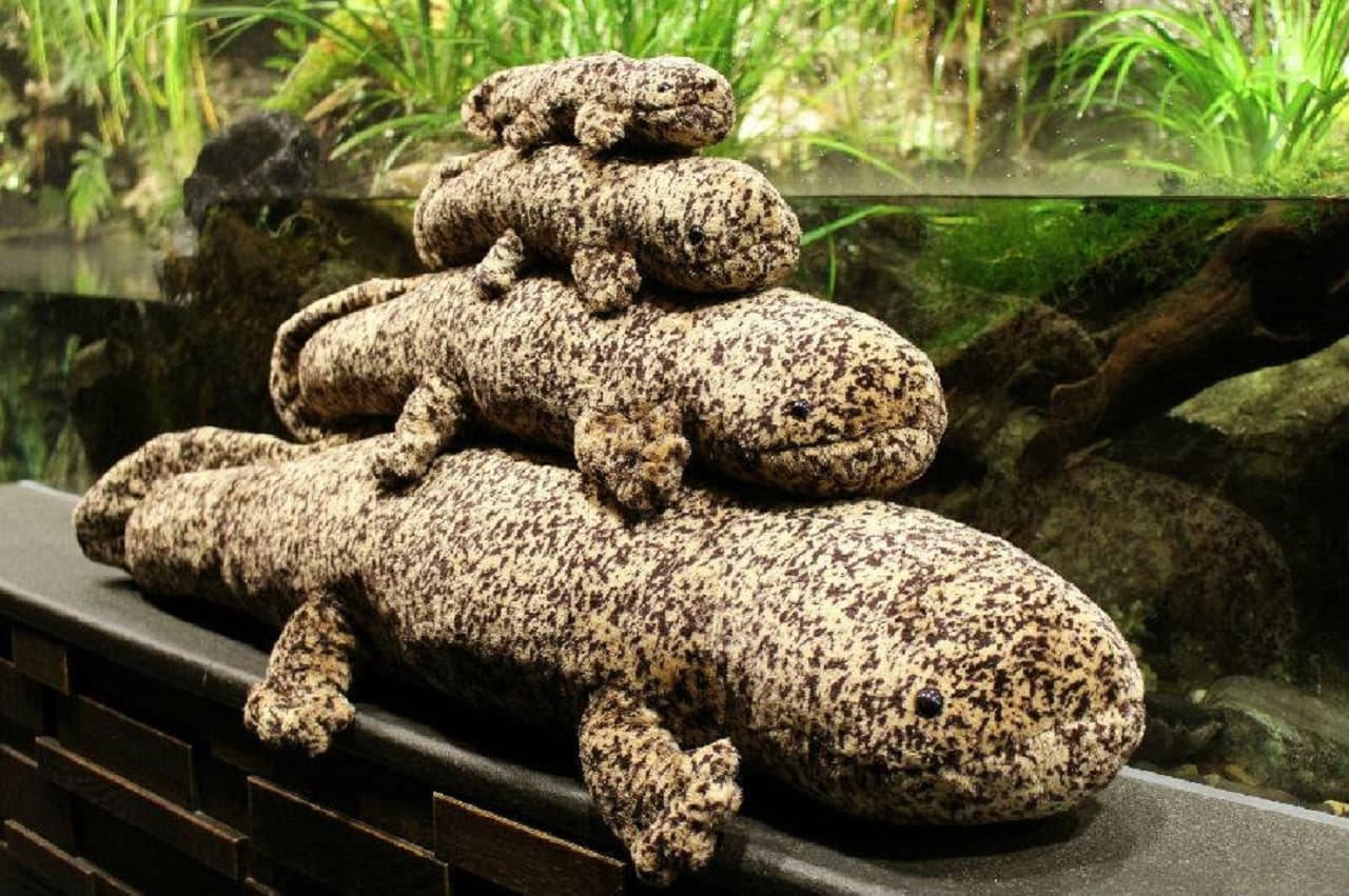 Kyoto Aquarium Ticket - სურათი 9