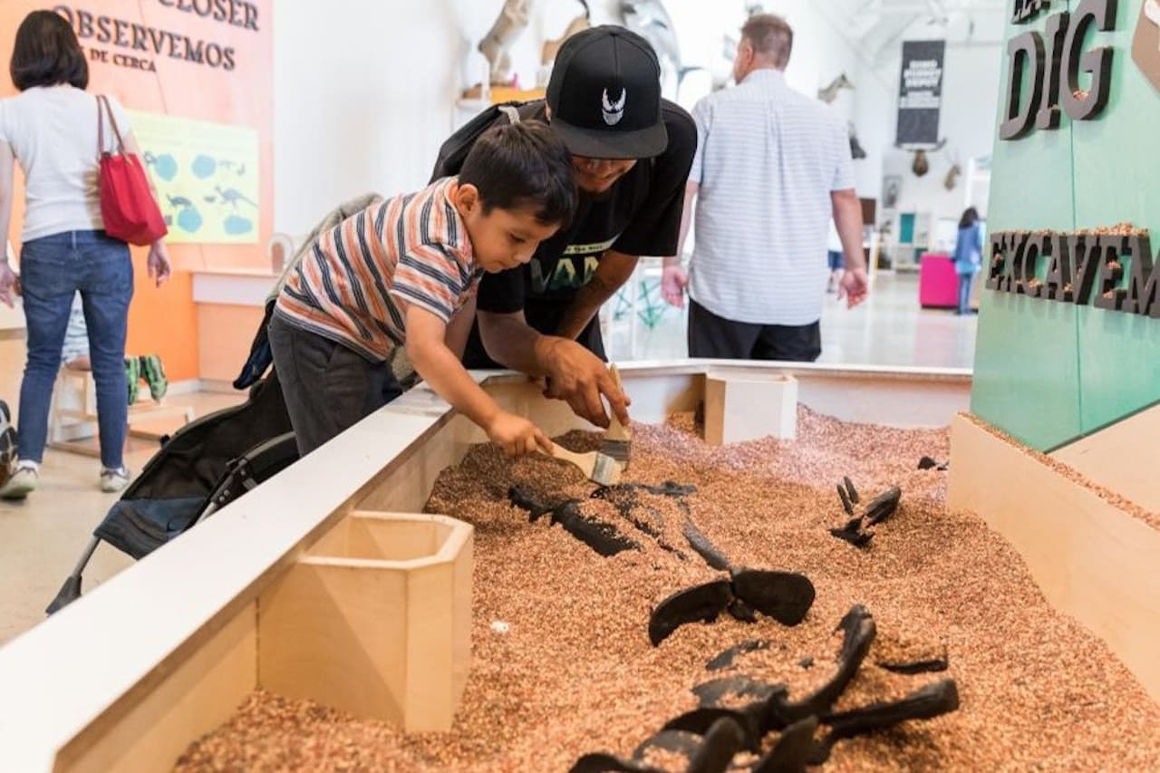 Natural History Museum of Los Angeles County - სურათი 2