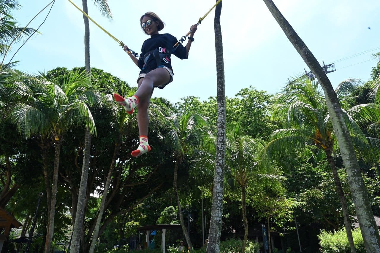 Mega Adventure Park Singapore Ticket - სურათი 16