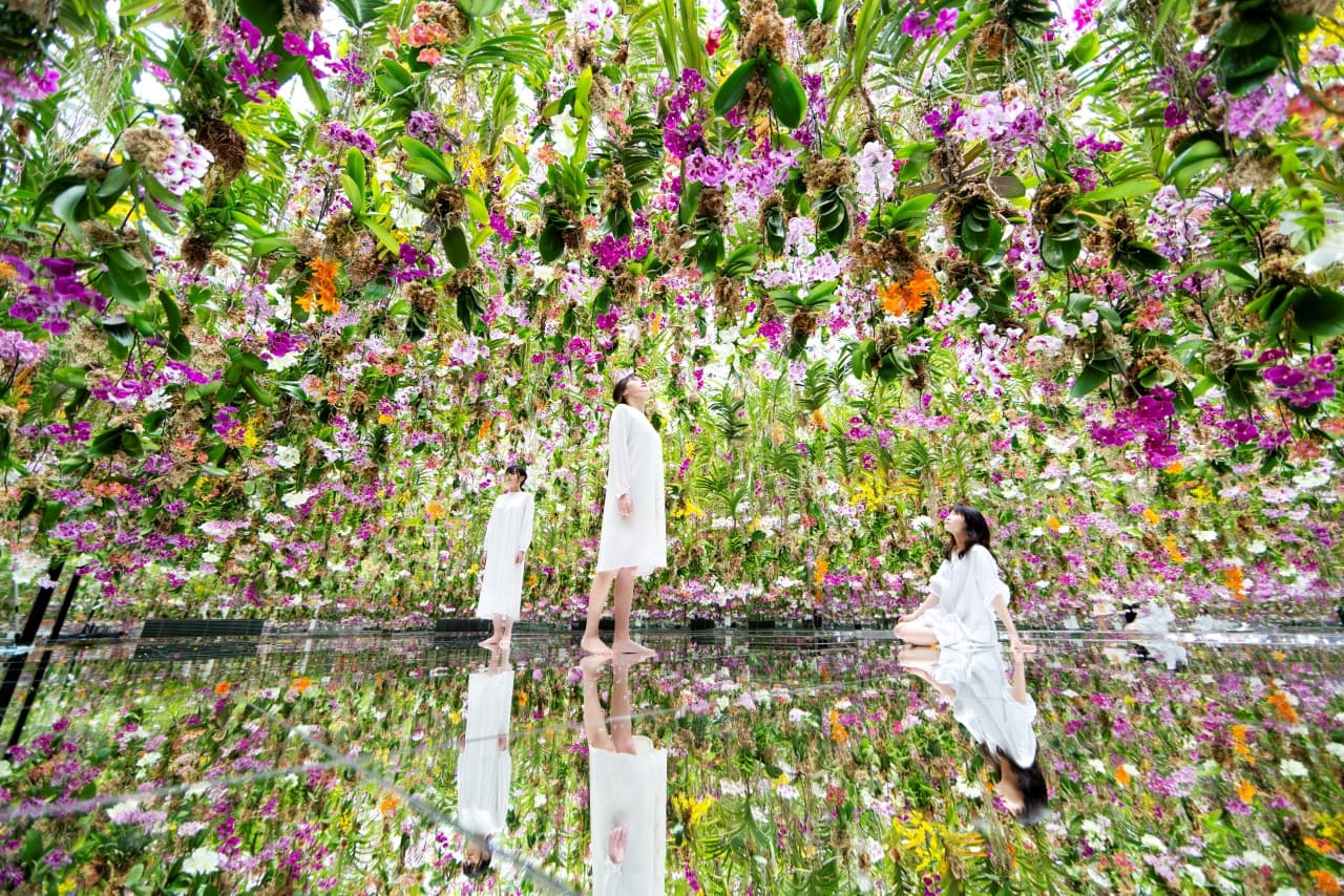 teamLab Planets TOKYO Ticket - სურათი 3