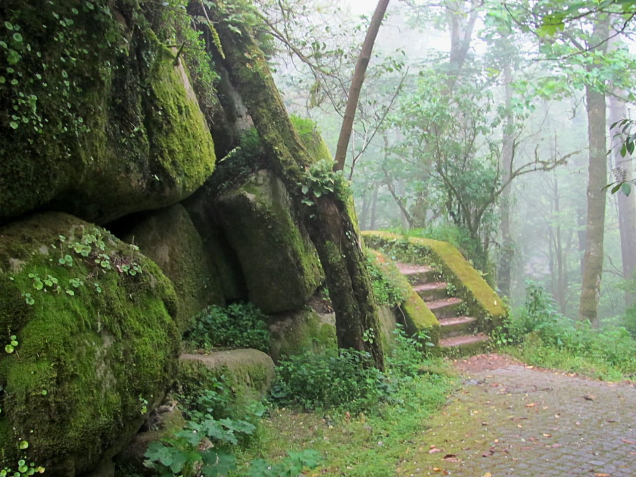 Pena Park in Sintra Ticket - სურათი 4