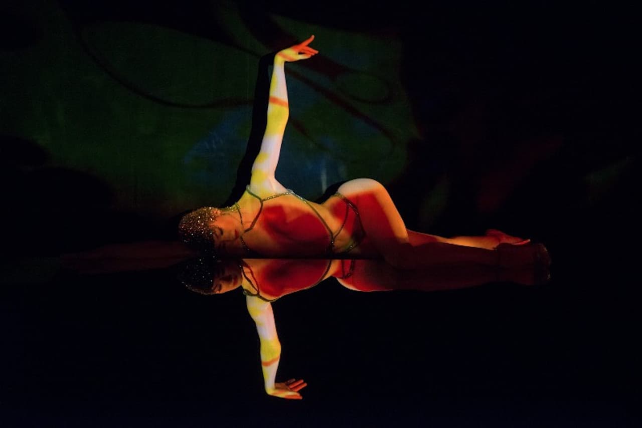 Crazy Horse Paris Show Ticket - სურათი 2