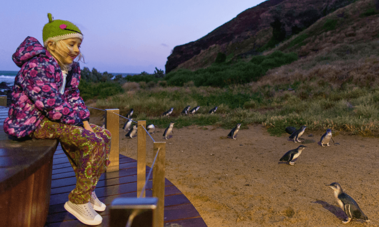 Phillip Island with Penguin Parade Eco Tour - სურათი 33