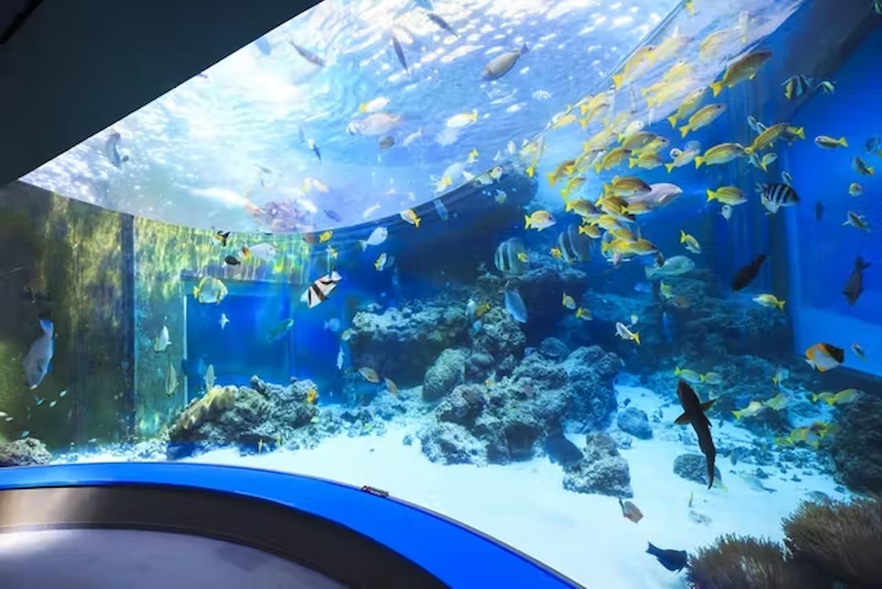 Okinawa Churaumi Aquarium Ticket - სურათი 3