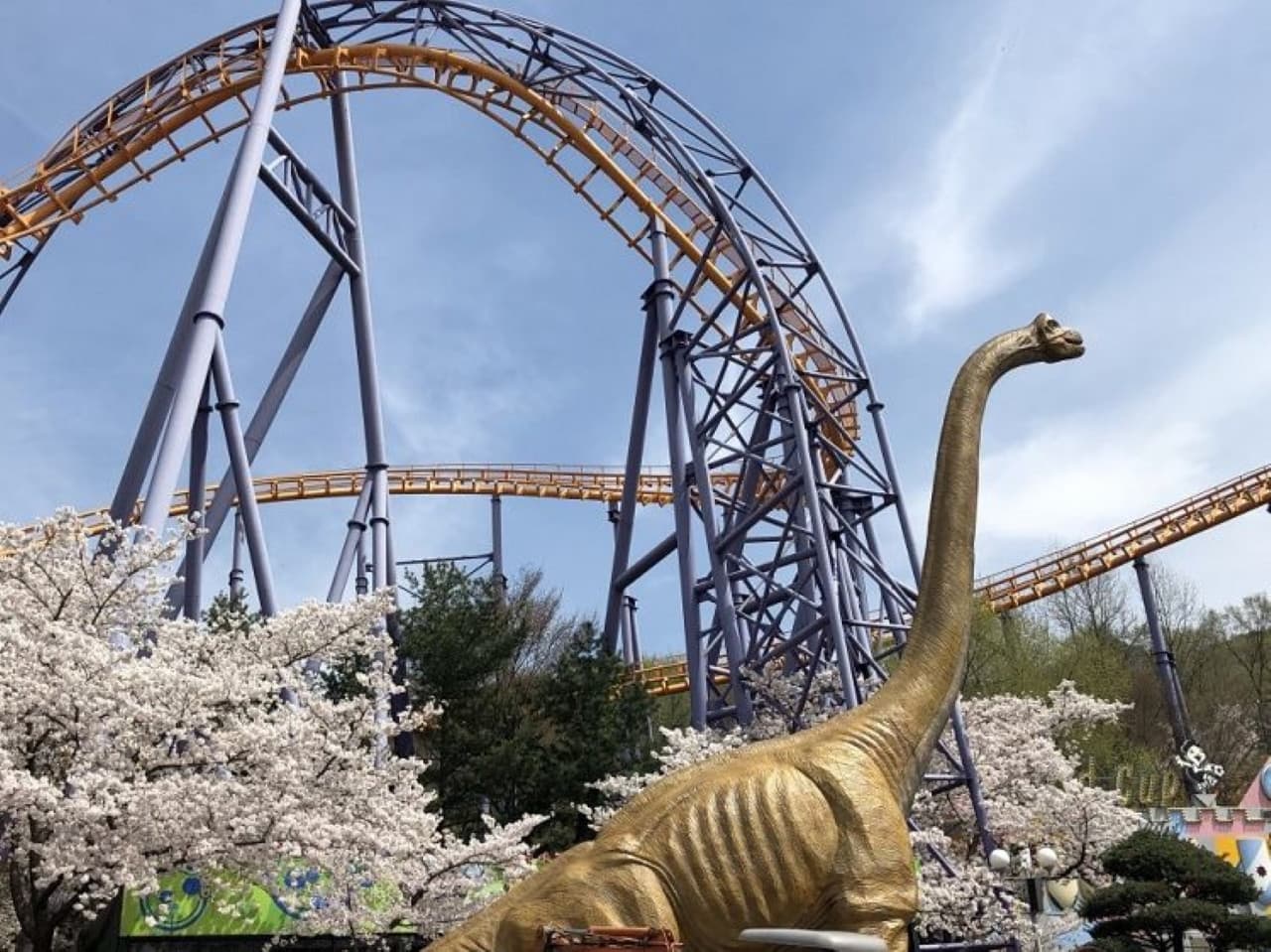 Seoul Land Theme Park - მთავარი სურათი