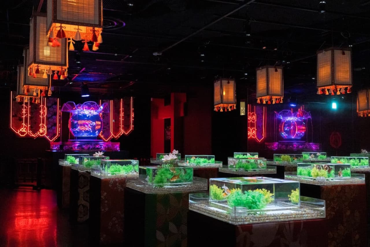 Art Aquarium Museum GINZA Ticket - სურათი 6