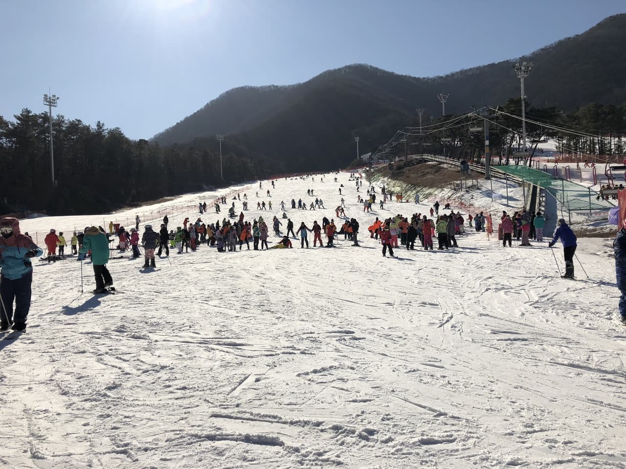 Jisan Forest Ski Resort Full-Day Tour from Seoul - სურათი 2
