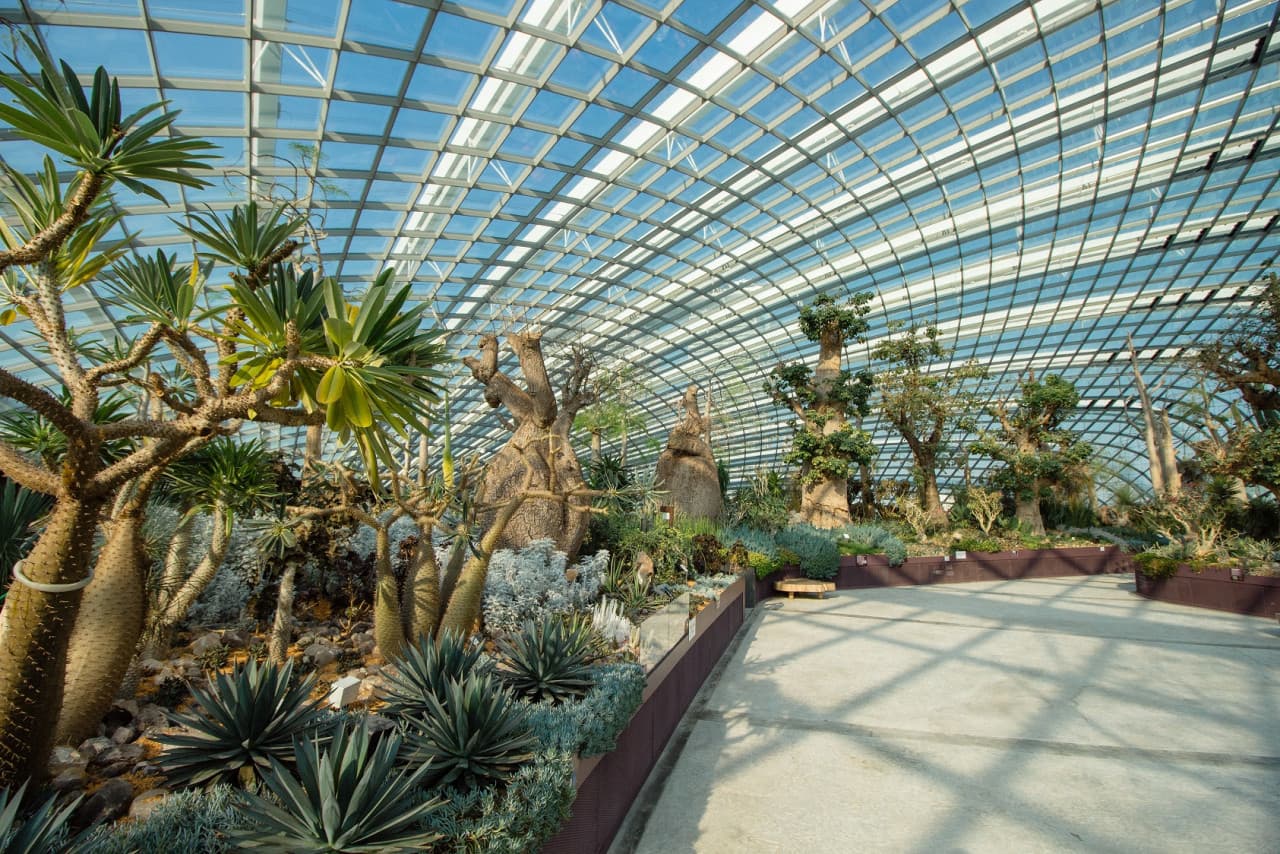 COMBO: Skyline Luge Singapore + Gardens by the Bay Ticket - სურათი 14