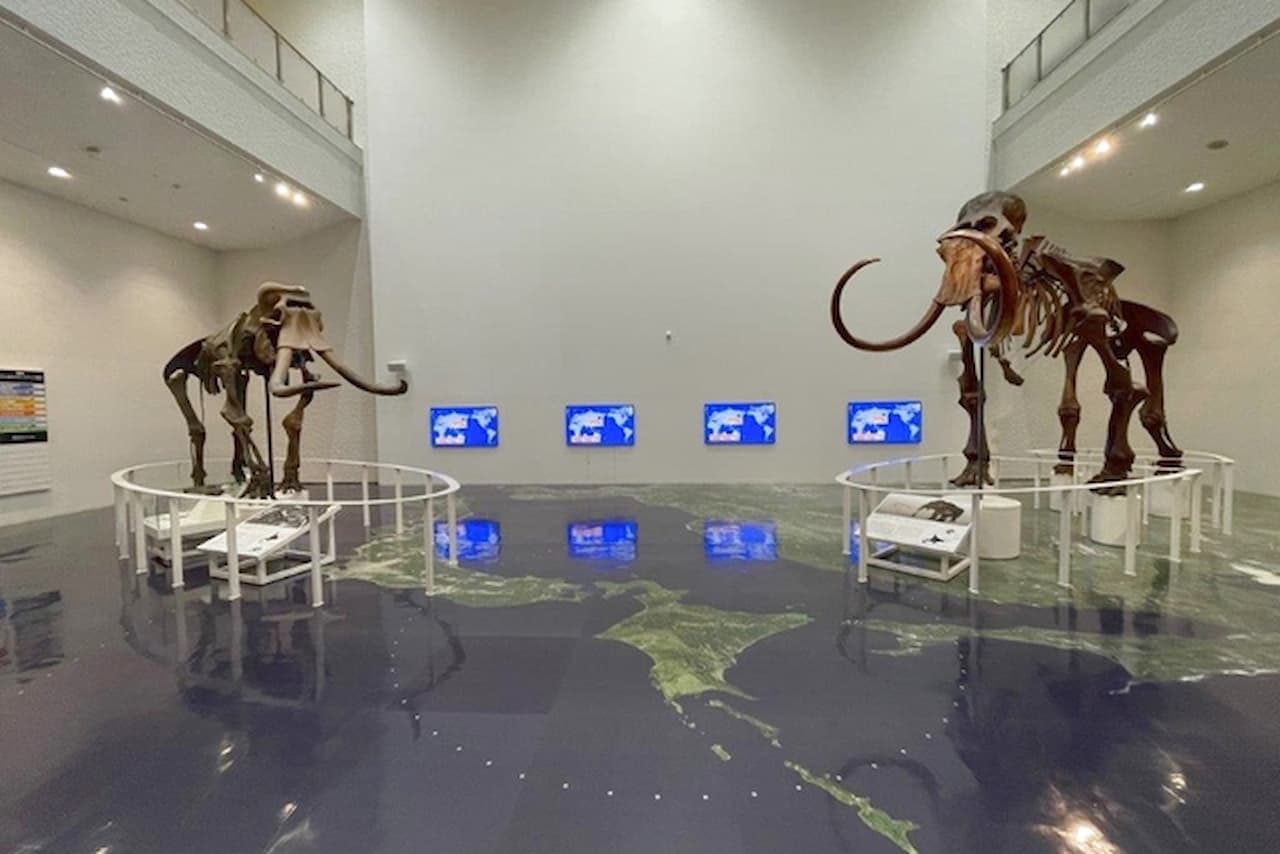 Hokkaido Museum Ticket - მთავარი სურათი