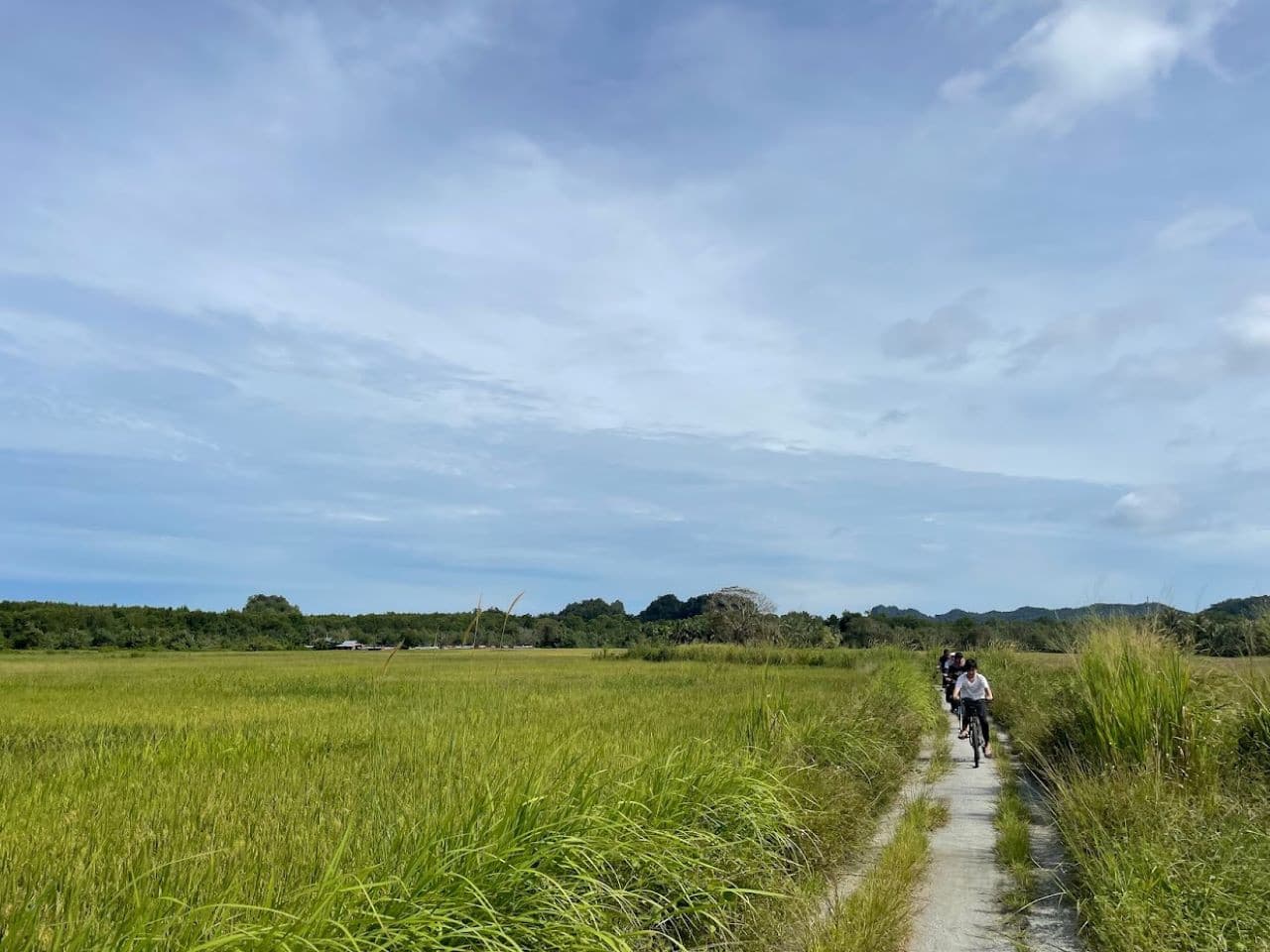 Langkawi Countryside Biking Tour - სურათი 2