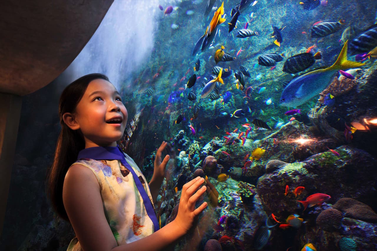 Go City Dubai All-Inclusive Pass: Save up to 50% on Attractions - სურათი 29