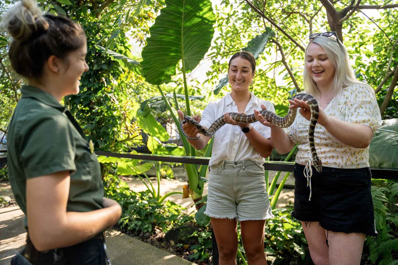 Wildlife Habitat Port Douglas Ticket - სურათი 2