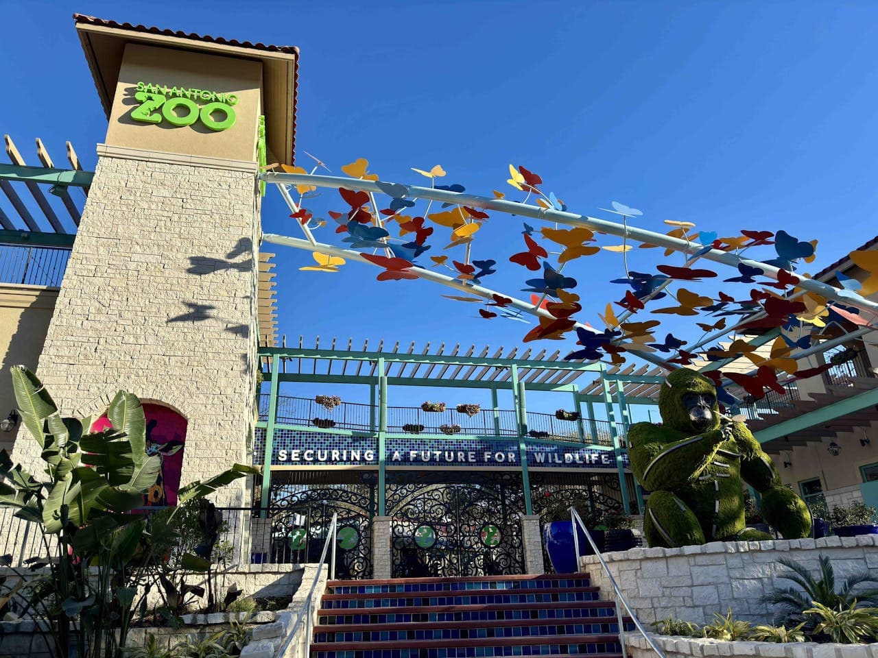 San Antonio Zoo Ticket - სურათი 5