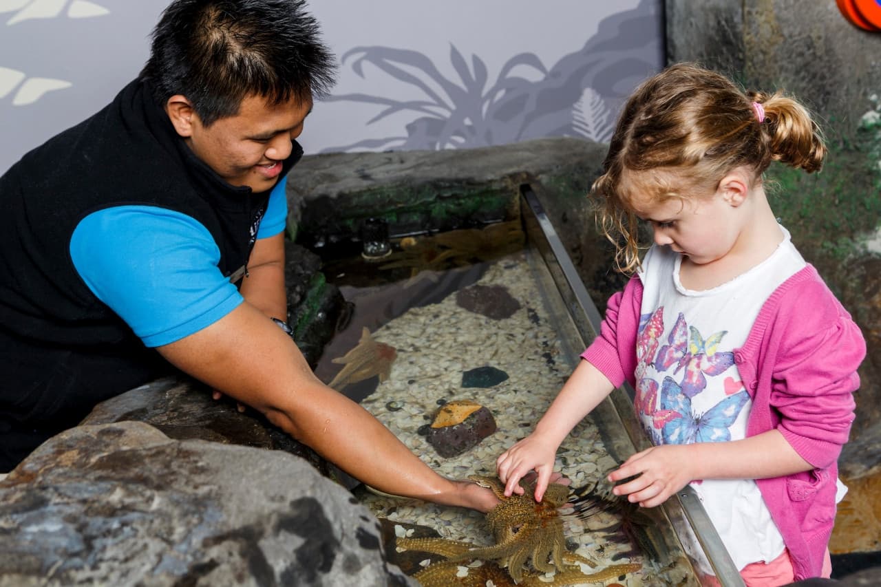 SEA LIFE Kelly Tarlton's Aquarium Ticket - სურათი 4