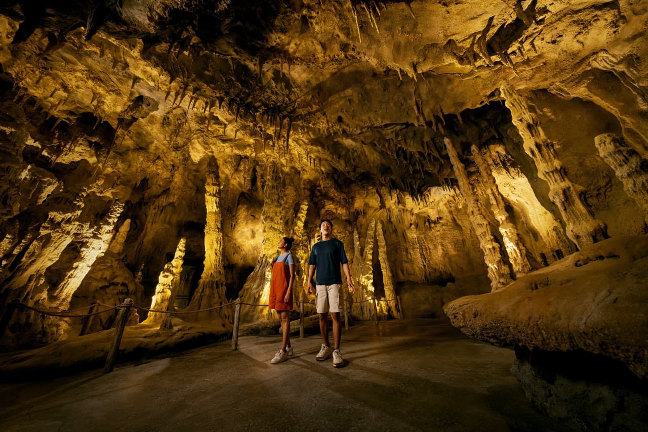 Mandai Destination Pass: Up to 2 Attractions in 1 Day - სურათი 10