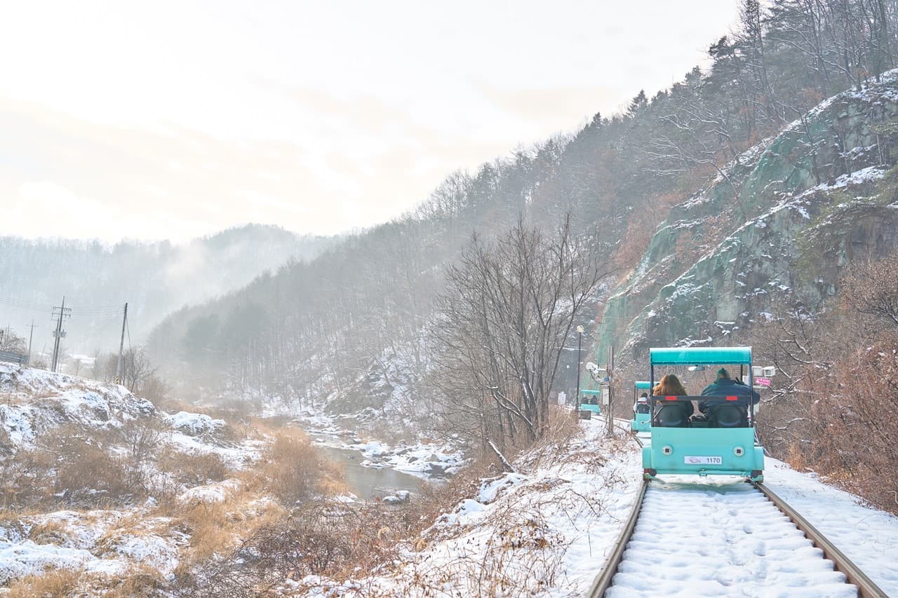 Nami Island, Mount Seorak, and Gapyeong Rail Bike Full-Day Tour from Seoul - სურათი 9