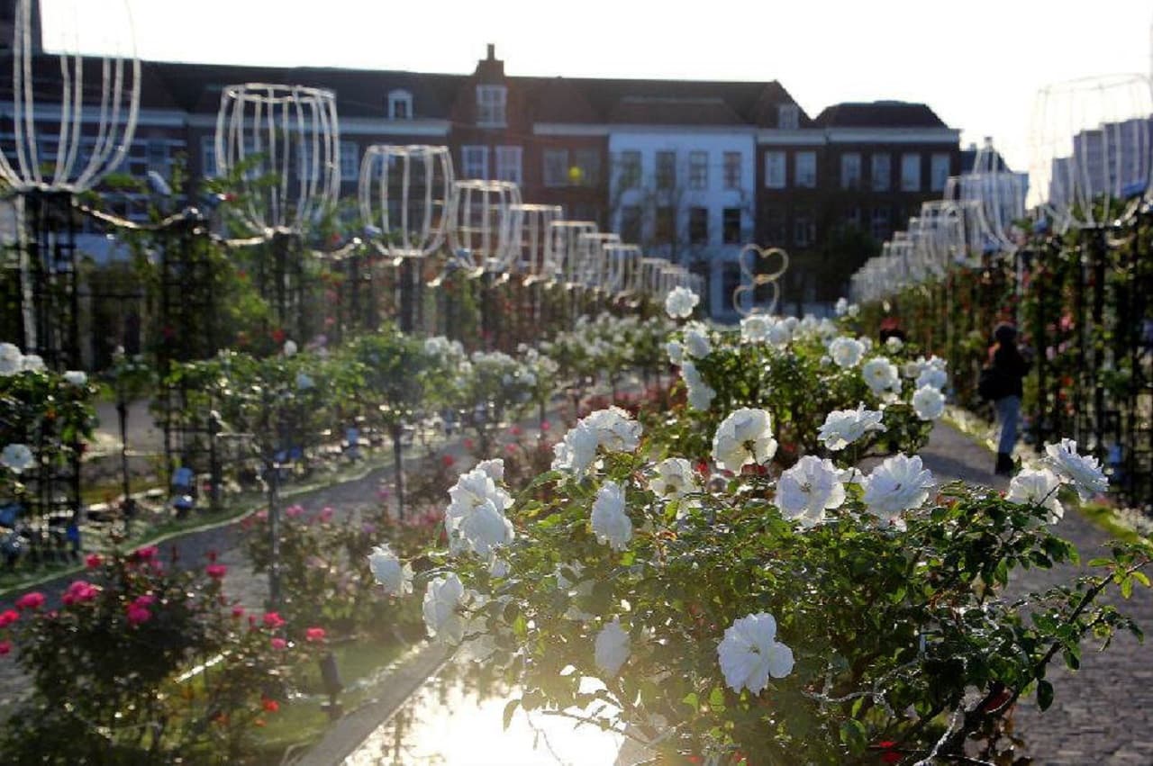 Huis Ten Bosch Theme Park - სურათი 12