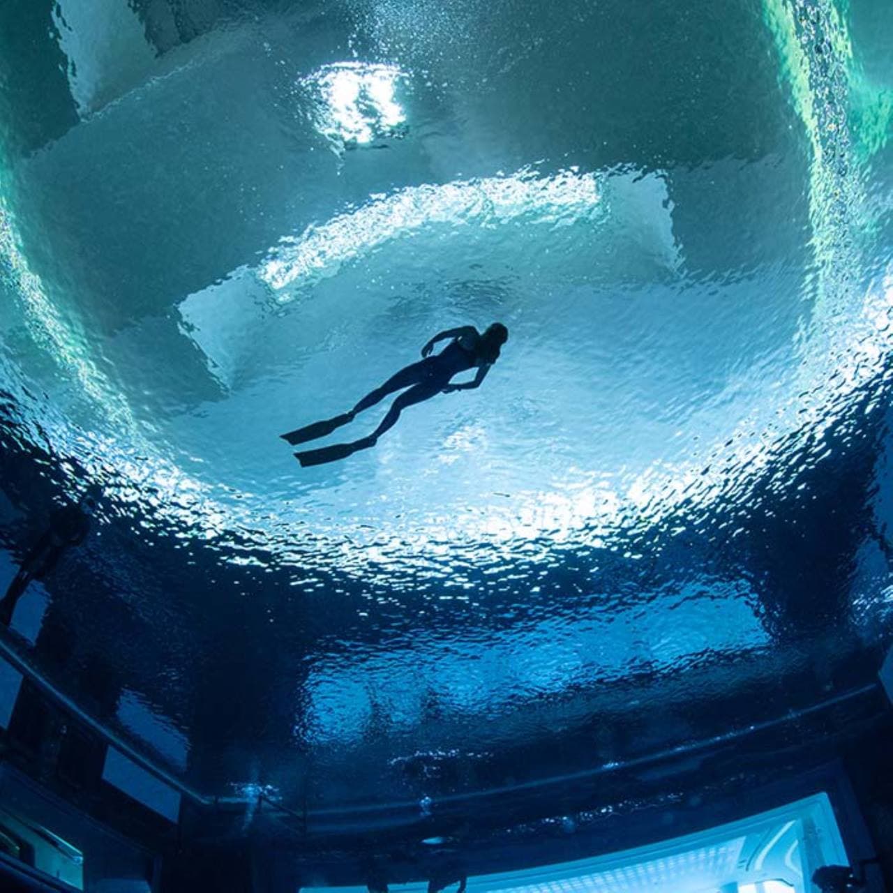 Scuba Diving and Snorkelling at Deep Dive Dubai - მთავარი სურათი